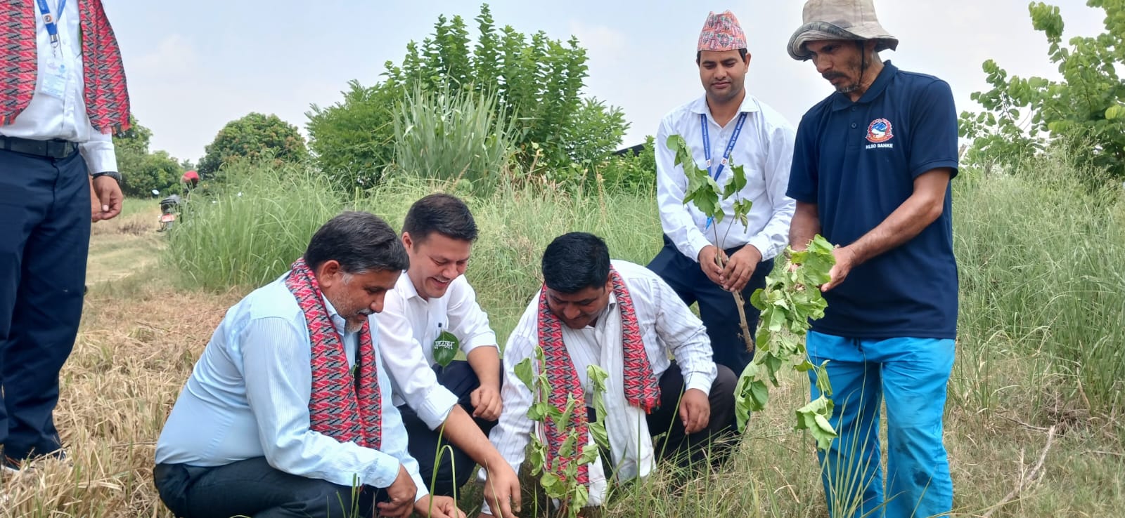 ४७ औँ फार्म दिवसमा डालेघाँसको विरुवा रोपण कार्यक्रम